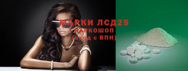 apvp Бородино