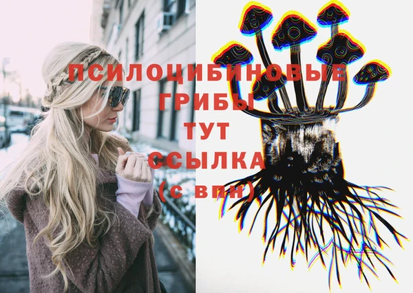 трава Пересвет