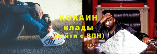 PSILOCYBIN Бронницы