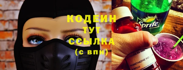 apvp Бородино