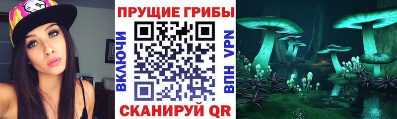 Галлюциногенные грибы прущие грибы  Камень-на-Оби 